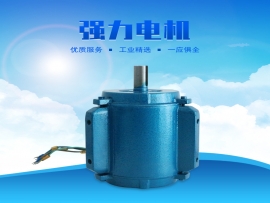 科瑞萊環(huán)?？照{(diào)1.1KW專用電機(jī)